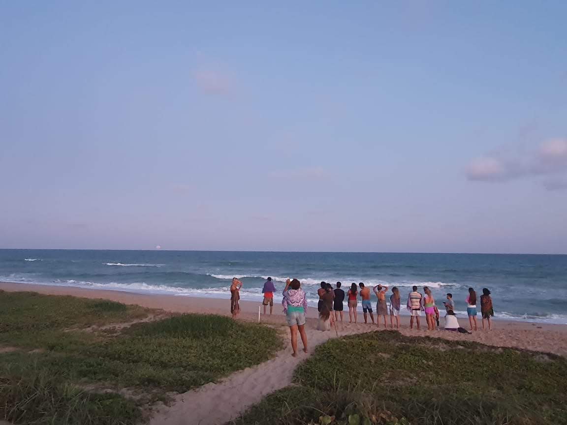 IMG-20191114-WA0005
